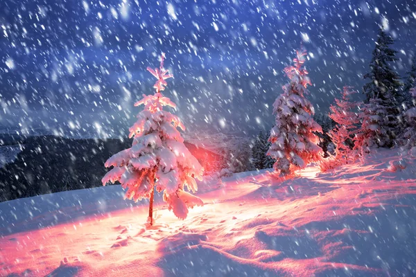 Frostiga vinternatten till dop — Stockfoto