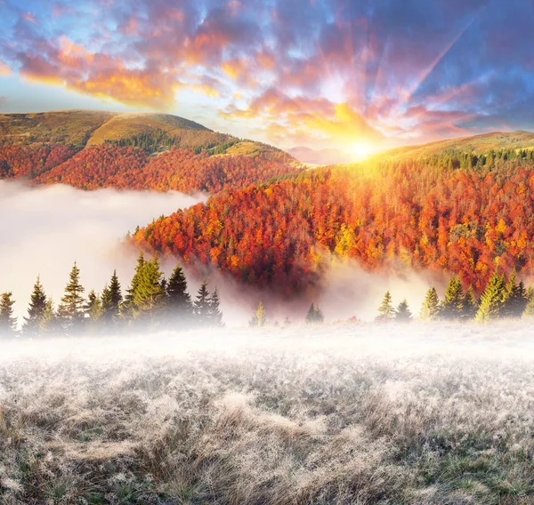 Brouillard dans les montagnes d'automne — Photo