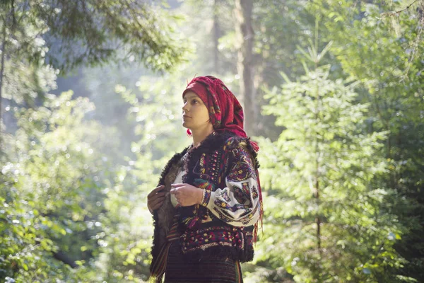 Девушка в традиционной одежде позирует в горах — стоковое фото