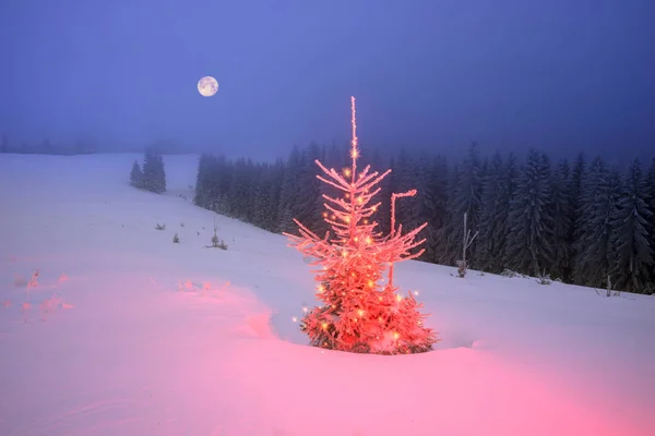 Árbol mágico de Navidad en Cárpatos —  Fotos de Stock