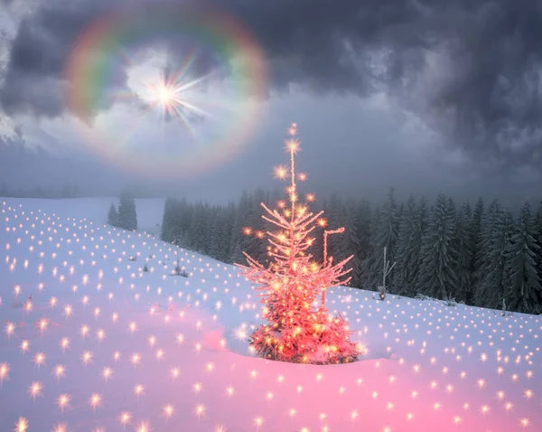 神奇的圣诞树在喀尔巴阡 — 图库照片
