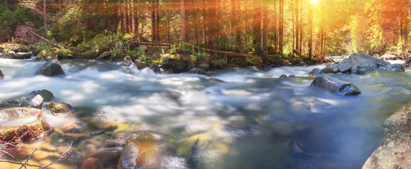 Ποταμό στην Ανατολή του ήλιου στο δάσος των Καρπαθίων — Φωτογραφία Αρχείου