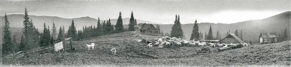 Esprit de l'Antiquité avec des moutons dans les montagnes — Photo