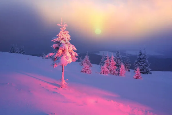 Frostige Winternacht der Taufe — Stockfoto