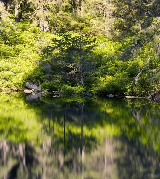 Mountain Lake in het wild Taiga — Stockfoto