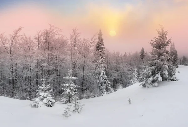 Dimma och frost i Karpaterna — Stockfoto