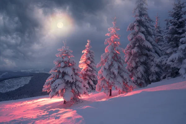 Frostige Winternacht der Taufe — Stockfoto