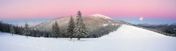 Frostiga soluppgång i Karpaterna — Stockfoto