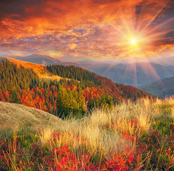 Carpathians in autumn season — Stock Photo, Image