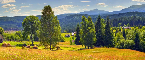 Цветочная ферма в Карпатах Лицензионные Стоковые Фото