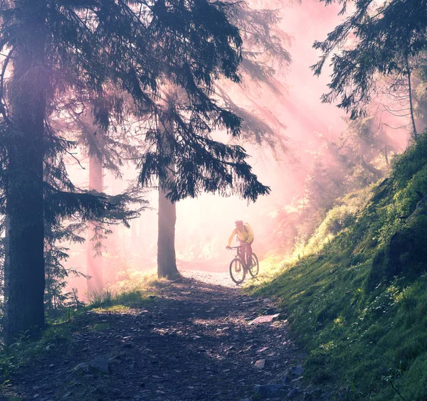 Hombre en bicicleta una bicicleta en las montañas con rayos soleados — Foto de Stock