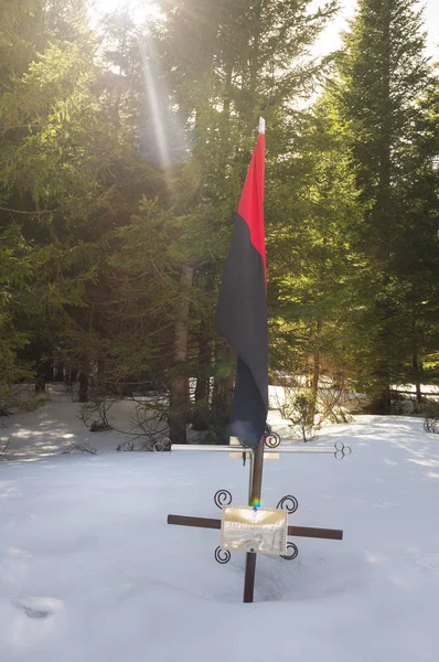 Monument voor de soldaten in de Karpaten Bos — Stockfoto