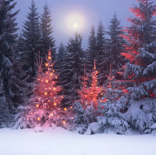 Magisk julgran i Karpaterna — Stockfoto