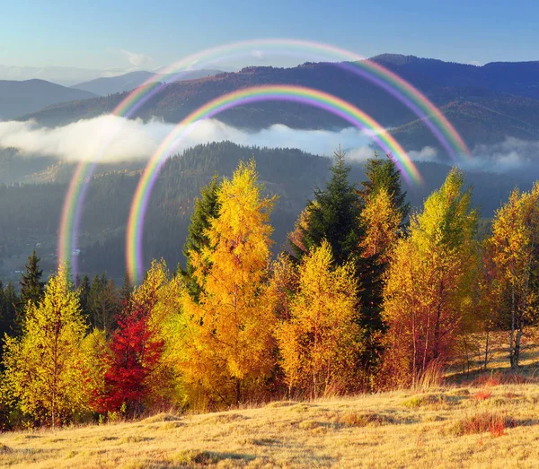 Otoño en Pokutsko-Bucovina, Cárpatos — Foto de Stock