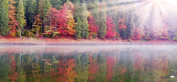 Synevir lake in autumn colors — Stock Photo, Image