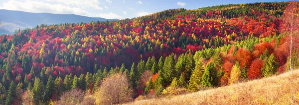 Karpaten im Herbst — Stockfoto