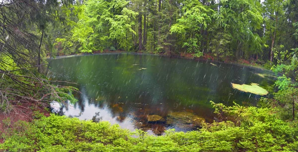 Mountain Lake w dzikie Taiga — Zdjęcie stockowe