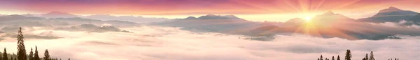 Туманный рассвет в Карпатах — стоковое фото