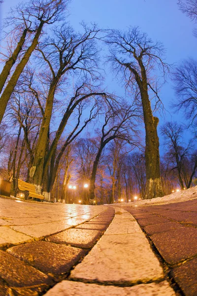 Нічний погляд у Маріїнському парку в Києві — стокове фото