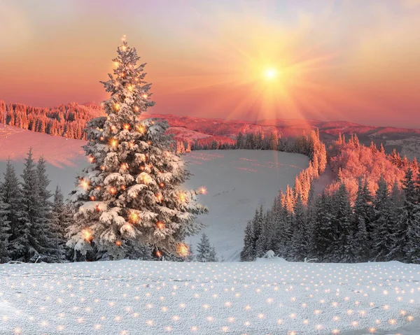 Magisk julgran i Karpaterna — Stockfoto