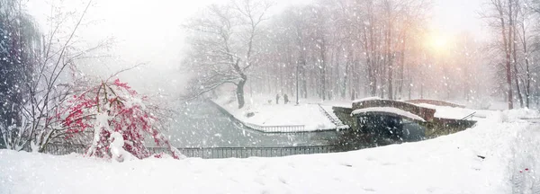 Lago in città Ivano-Frankovsk — Foto Stock