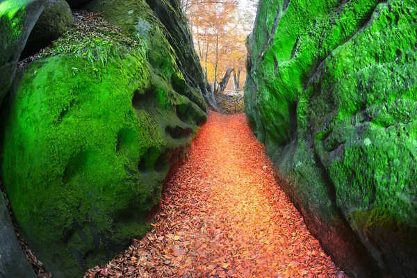 Dovbush Rocks at night — Stock Photo, Image