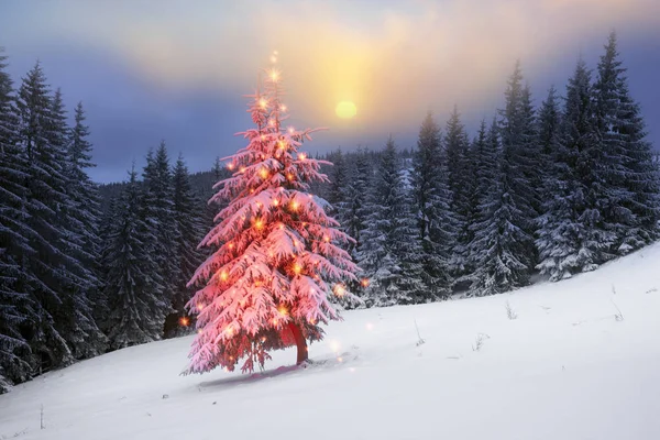 A Kárpátok Magic karácsonyfa — Stock Fotó