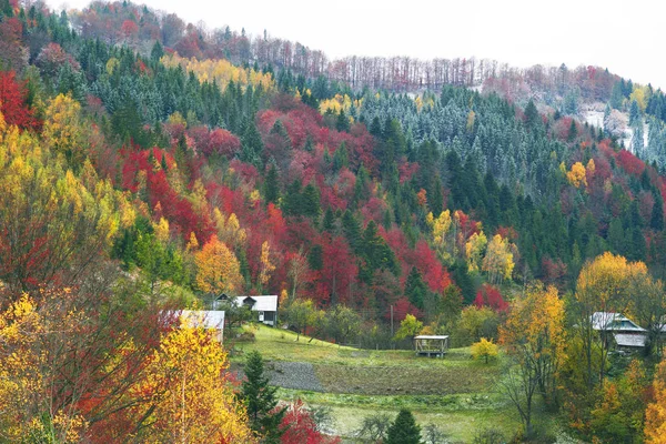 První sněžení v Karpatské vesnici — Stock fotografie