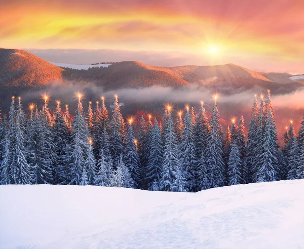 Frosty sunrise in Carpathians — Stock Photo, Image
