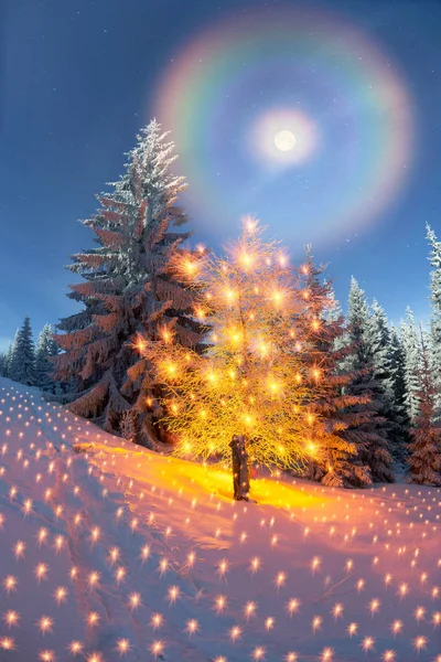 Árbol mágico de Navidad en Cárpatos —  Fotos de Stock