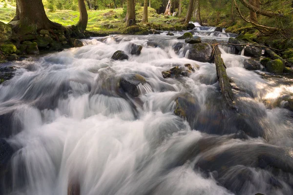 Río Cárpatos en el bosque — Foto de Stock