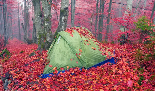 Tent backfilled with yellow leaves — Stock Photo, Image