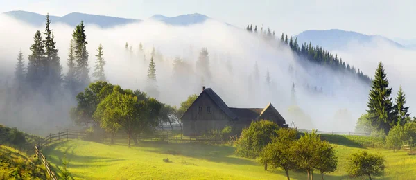 Blumenfarm in den Karpaten — Stockfoto