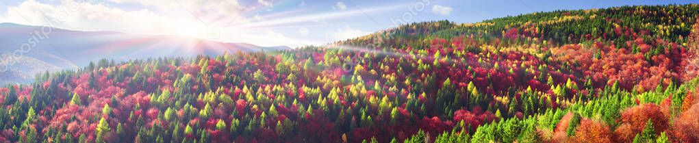 Carpathian mountains in autumn — Stock Image Carpathian mountains in autumn Stock Picture