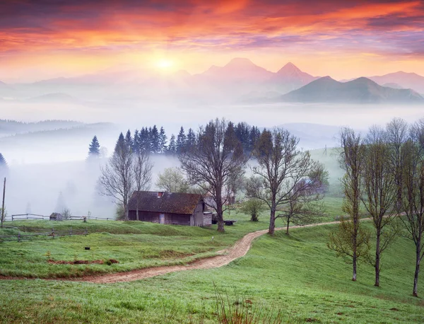 霧の中で Lazeshchyna 村 — ストック写真