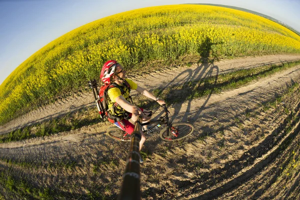 Atleet fietser in een gouden veld — Stockfoto