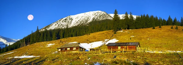 Oro y nieve otoño paisaje — Foto de Stock