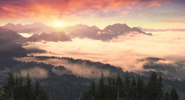 Ukrayna Karpatlar sisli sabah — Stok fotoğraf