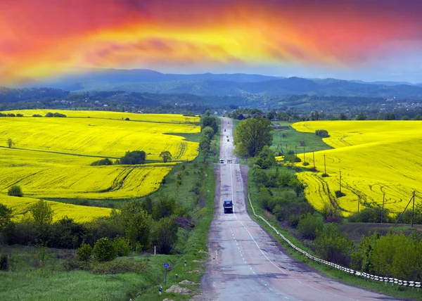 Rape fields and highway — Stock Photo, Image