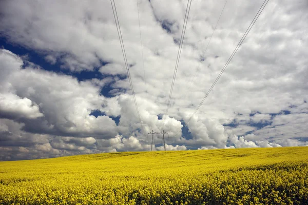 Tecavüz elektrik direkleri — Stok fotoğraf