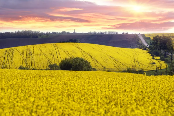 Rape fields and highway — Stock Photo, Image