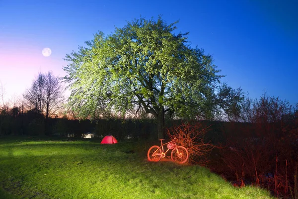 Гірський велосипед під квітучим деревом вночі — стокове фото