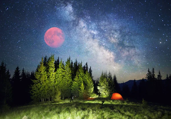 Ciel étoilé au-dessus de la terre scénique — Photo