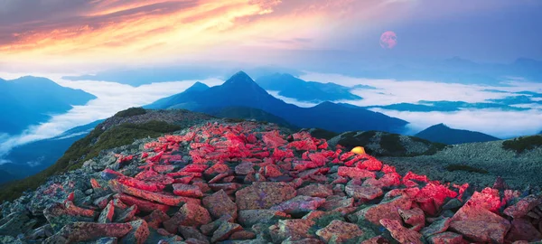 Night misty mountains — Stock Photo, Image