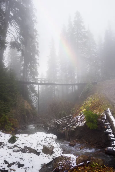 Παλιά ξύλινη γέφυρα στο ορεινό δάσος — Φωτογραφία Αρχείου