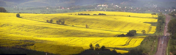 Campos de violação e auto-estrada — Fotografia de Stock