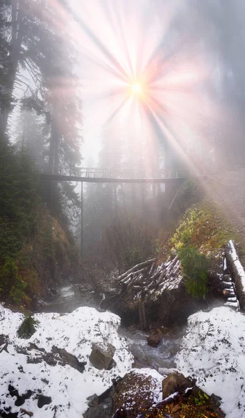 Vecchio ponte di legno nella foresta di montagna — Foto Stock