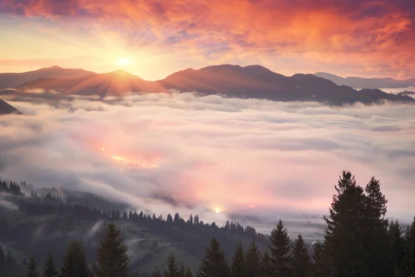 우크라이나어 Carpathians에서 안개 아침 — 스톡 사진