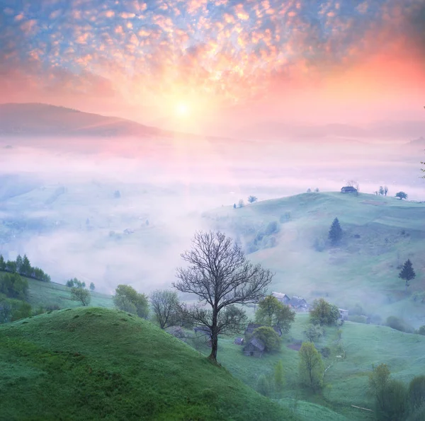 Lazeshchyna dorp in de mist — Stockfoto