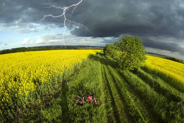 Atleta ciclista in un campo dorato — Foto Stock